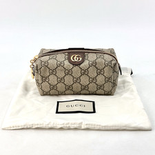 Gucci Ophidia Pouch Astuccio