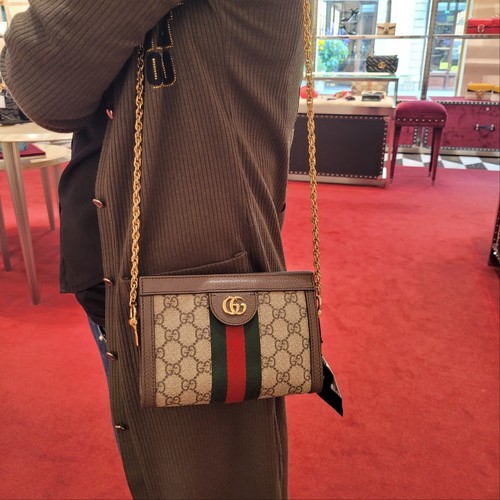 Nuovo gucci ophidia gg - gg, mini